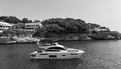 noname For Sale image19