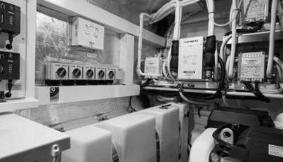 Greyhound For Sale image74