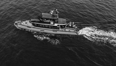 VANGUARD For Sale image30