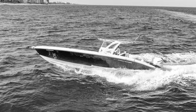 noname For Sale image13