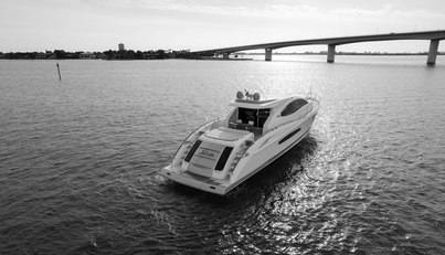 SALACIA For Sale image55