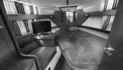 Morning Star For Sale image11