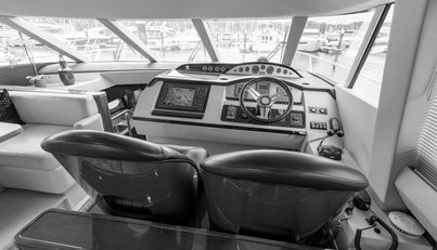 Enzo For Sale image63