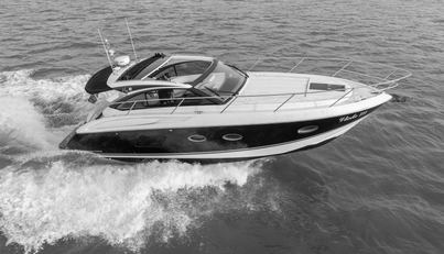 Viola III For Sale image8