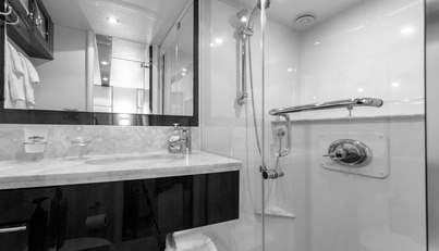 SALACIA For Sale image44