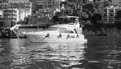 AS394 For Sale image4