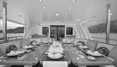 HERCULES For Sale image34