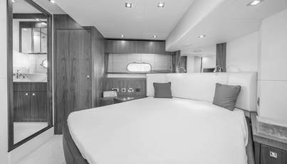 TARTUFO For Sale image37