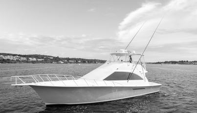 Gorilla Bowt For Sale image18