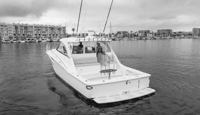 Commodore Two For Sale image20