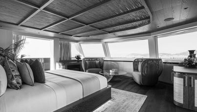 KING BENJI For Sale image23