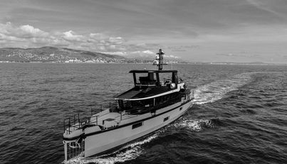 VANGUARD For Sale image33