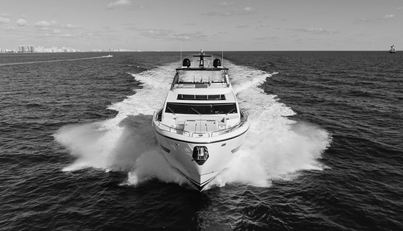 WHITE STAR For Sale image41