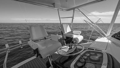 WILL RISE For Sale image19