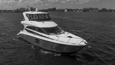 Gail’s Storm IV For Sale image3