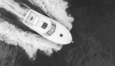 Commodore Two For Sale image11