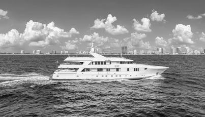 STAR DIAMOND For Sale image1