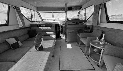 Magic Princess For Sale image19