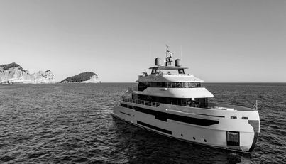 NEVER SAY NEVER AGAIN For Sale image23