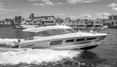 MISS ZOE For Sale image1