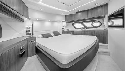 TARTUFO For Sale image33