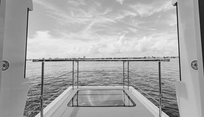 GOLDENEYE For Sale image14