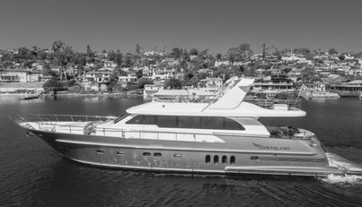 GYRFALCON For Sale image12