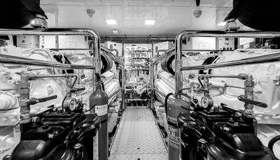 Amico For Sale image47