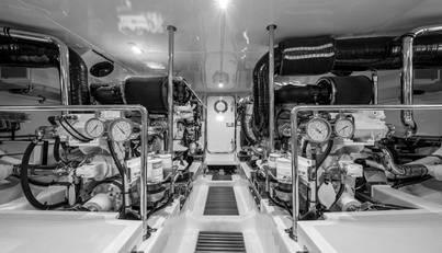 CARA MIA For Sale image49