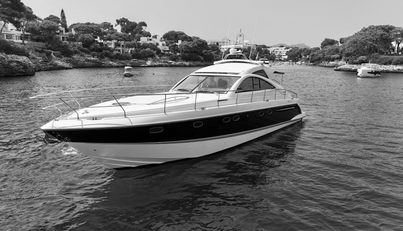 noname For Sale image10
