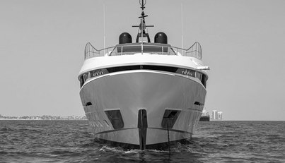 GOLDENEYE For Sale image42