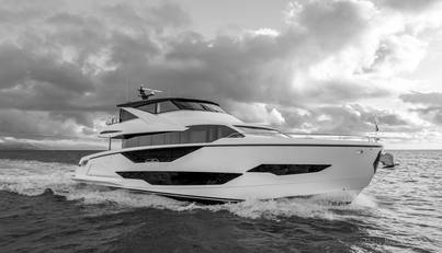 Aurelius For Sale image1