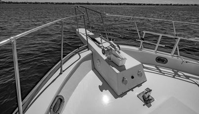 noname For Sale image14