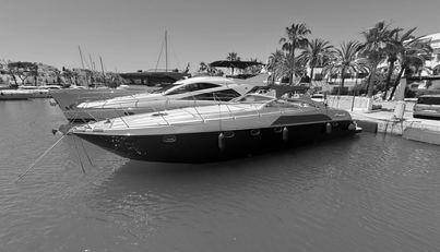 noname For Sale image1