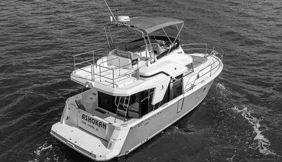 ASHOKAN For Sale image8