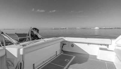 MISS MICHELLE For Sale image35