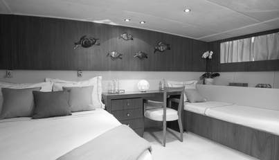 OCEANE II For Sale image10