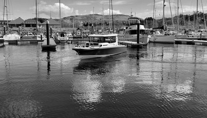 Endless Fun For Sale image3