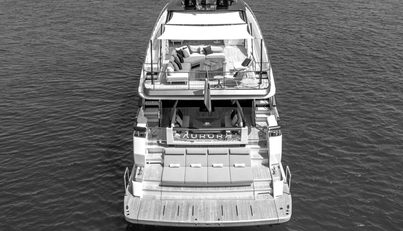 AURORA For Sale image5