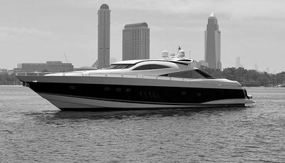 TIMELESS C For Sale image6
