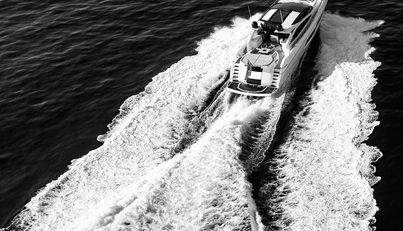 CLAVIS For Sale image2