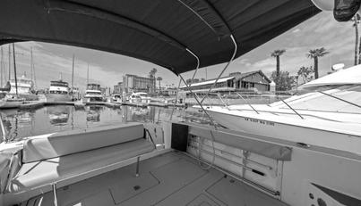 noname For Sale image7