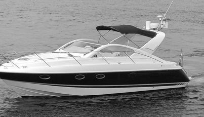 noname For Sale image10