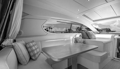 Endurance For Sale image31