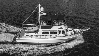 noname For Sale image45