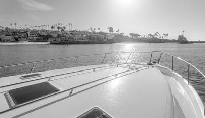 QUARANTINE For Sale image33
