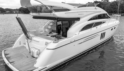 Enzo For Sale image110