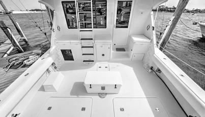 noname For Sale image9