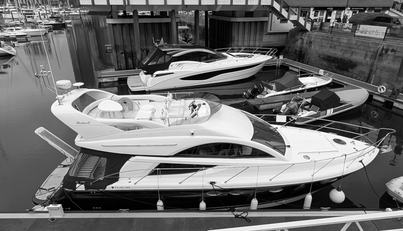 Firefly Of Chichester For Sale image51