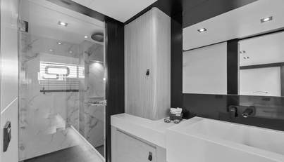 ICE For Sale image41